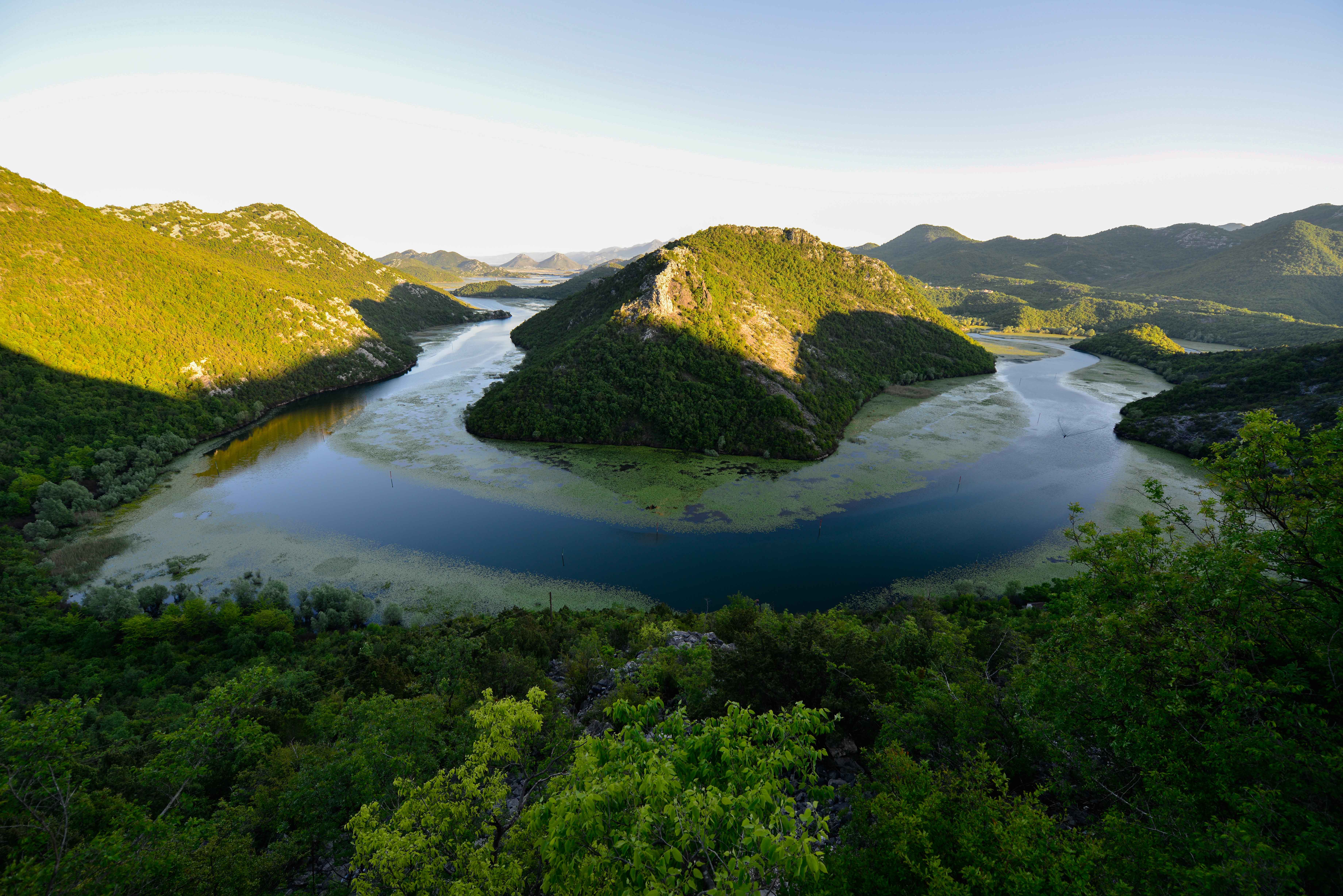 meander zielony